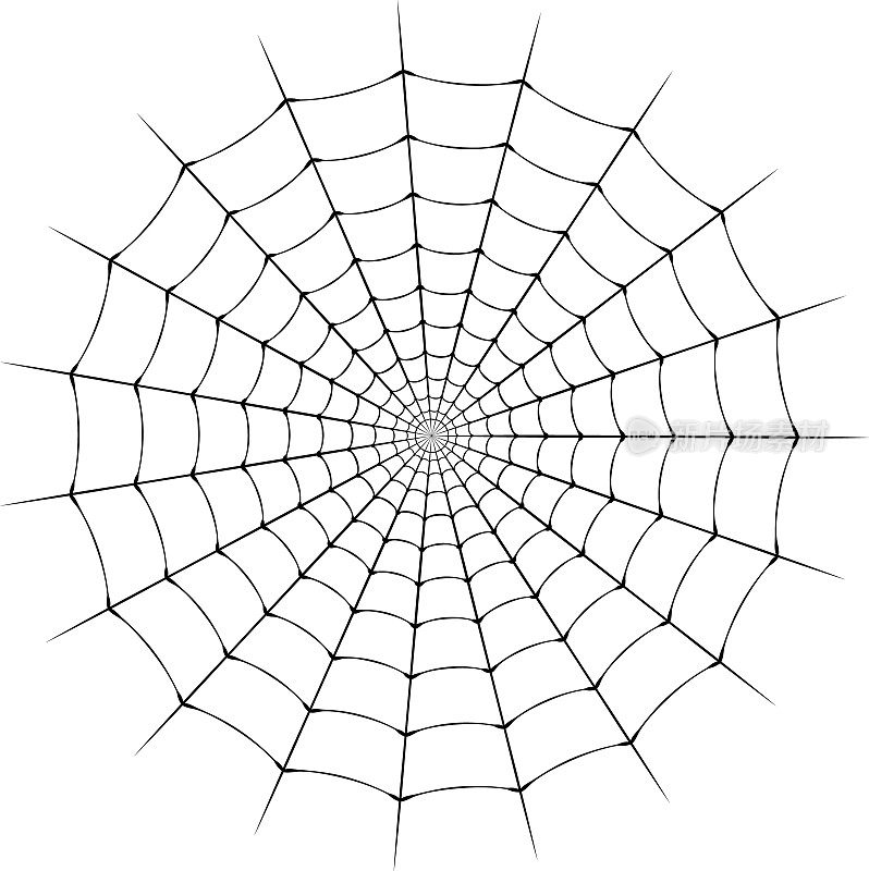 蜘蛛网的插图