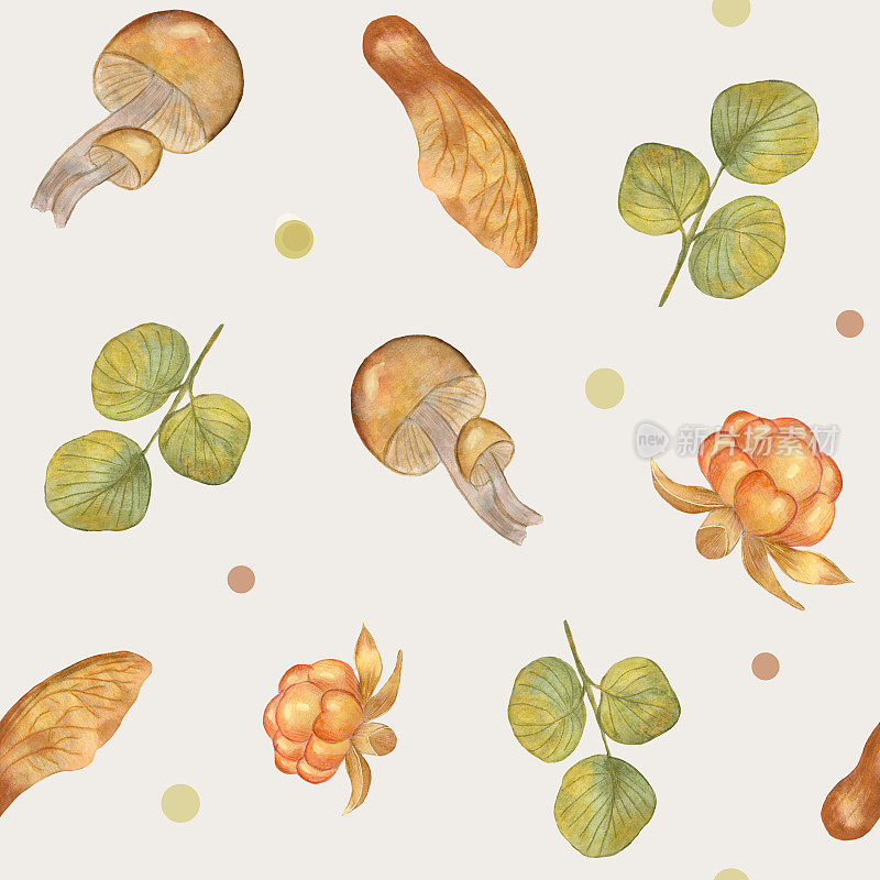 云莓，蘑菇和枫籽。秋高气爽，秋高气爽。温婉秋色的感恩节图案。