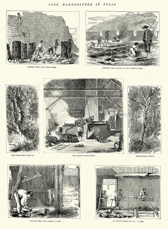 西班牙软木制品的制造场景，维多利亚工业，西班牙历史，19世纪70年代