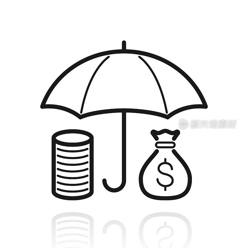 金钱保护-美元。白色背景上反射的图标