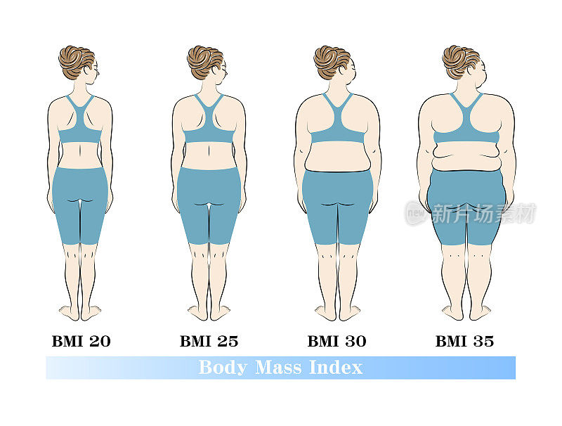一个年轻漂亮的女人在节食前后的体型变化的插图。向量。