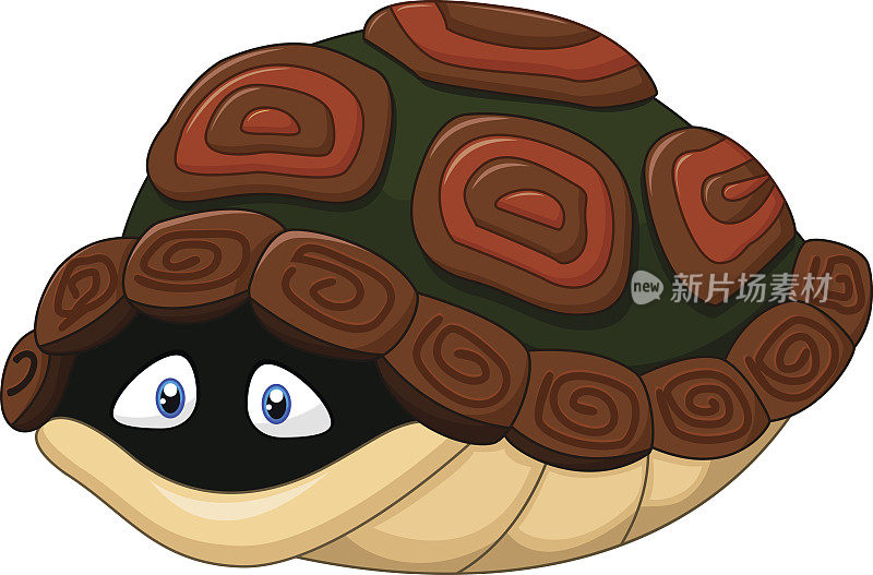 可爱的乌龟藏在它的壳里