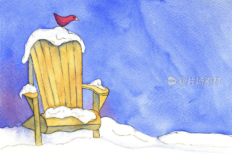 阿迪朗达克椅子在雪与鸟