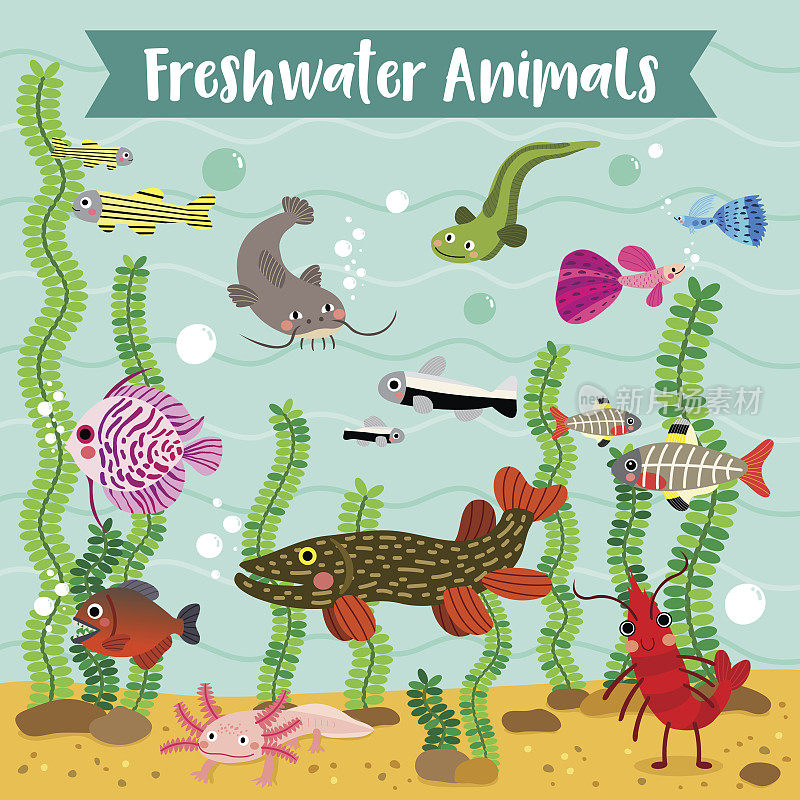 淡水动物卡通与水下背景矢量插图。