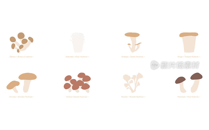 秋味，简单的蘑菇插画:松茸、舞茸、香菇等集矢量插画