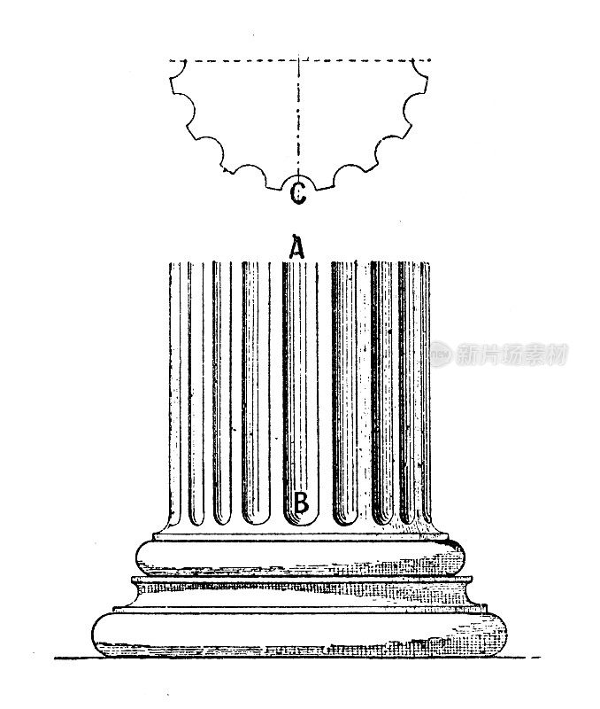 古董插图:柱肋