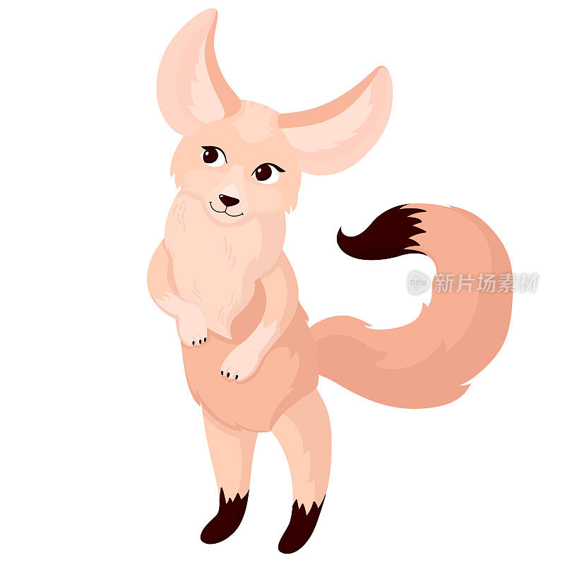 一只可爱的沙色耳廓狐用后腿站立着。