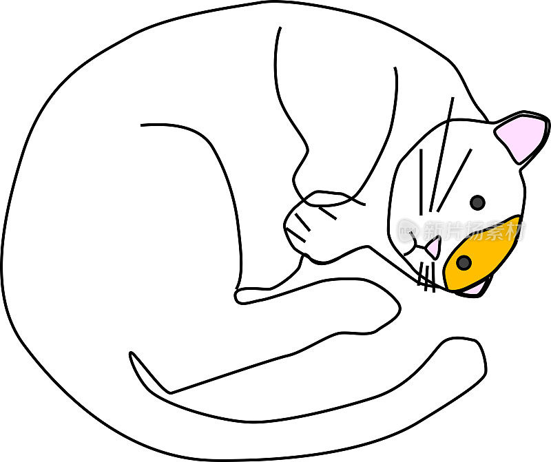 插画材料“黄色”的可爱卷曲的猫