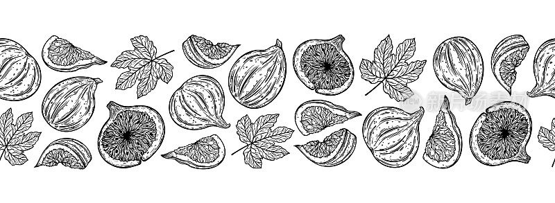 无花果无缝矢量边界。甜花园水果，整个，一半，切片。带有叶子的新鲜浆果的素描。外来植物的单色轮廓。手绘植物线艺术。天然健康食品