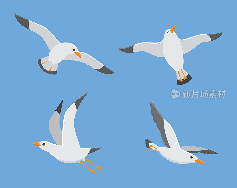 大西洋海鸟飞在天空，一群白鸥