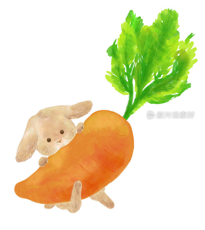 一只小兔子和胡萝卜在下垂的耳朵里，用温暖的水彩画触摸