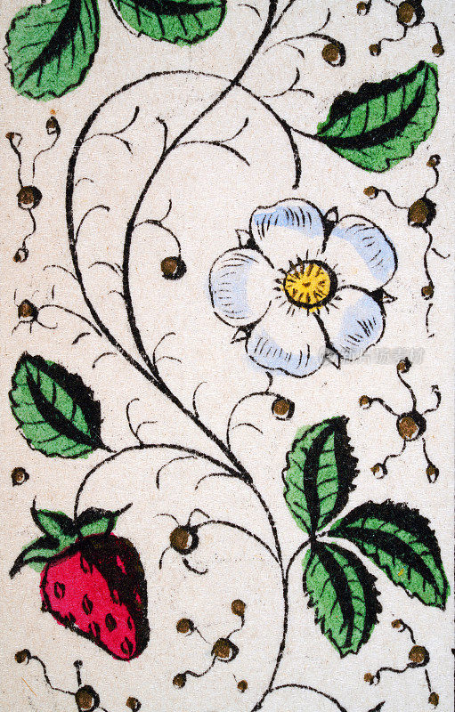 复古插图，白玫瑰和草莓花卉图案，花卉艺术