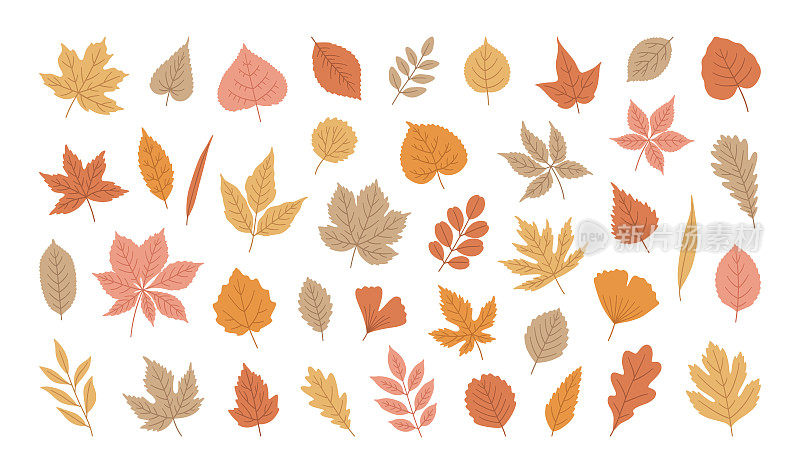 秋叶集，矢量插图在柔和的颜色。