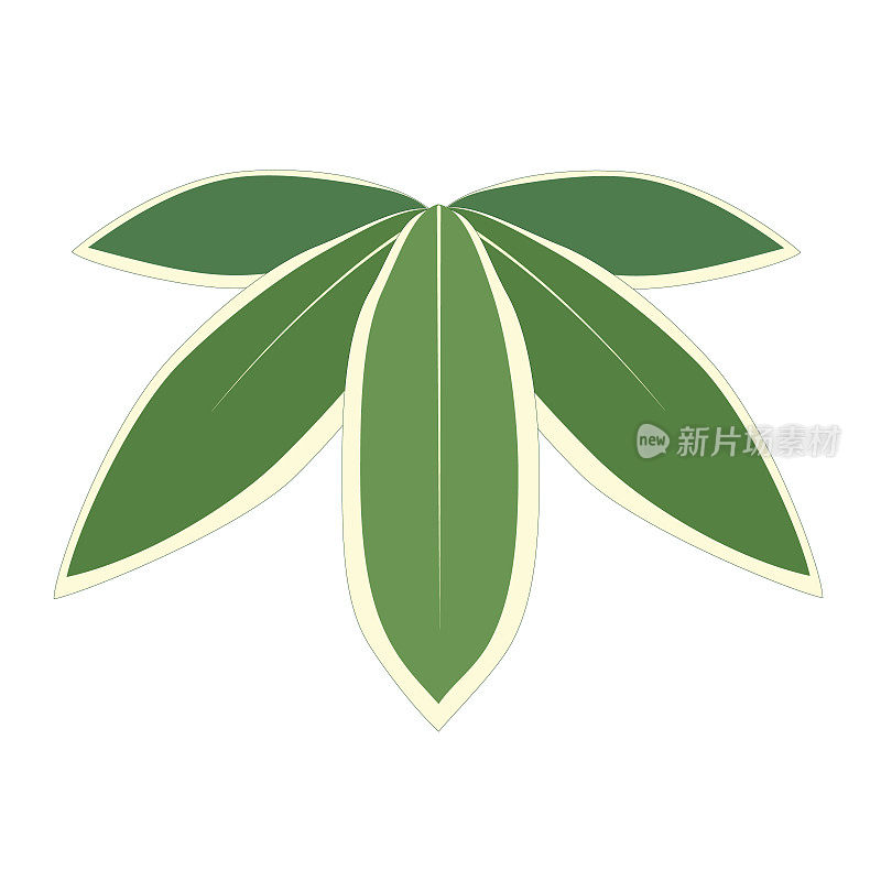 绿色竹叶与白色镶边的图标