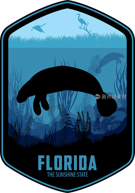 佛罗里达载体标签与海牛和苍鹭沼泽湿地海岸