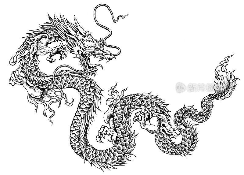 中国龙的插图与鳞片和鹰爪