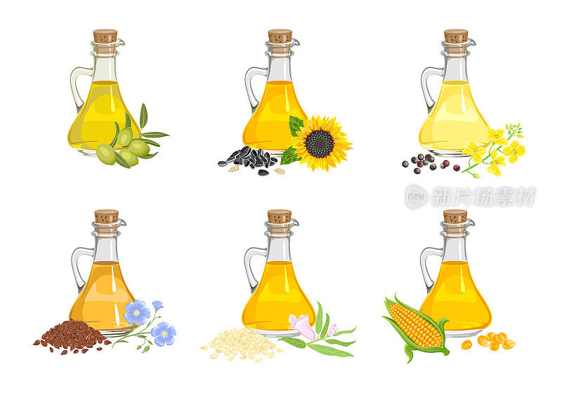 一套不同的食用油在玻璃瓶，种子和植物。矢量卡通插图的玉米，亚麻籽，向日葵，橄榄，芝麻和菜籽油。