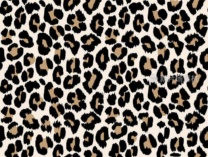 白色豹子斑点，野猫皮毛图案。动物图案设计。