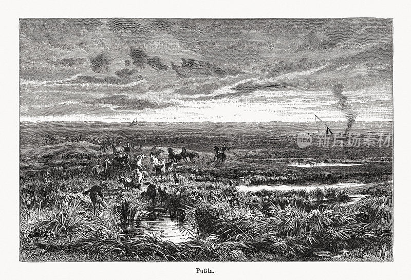 普什塔，《大匈牙利平原的草原》，木刻，1894年出版