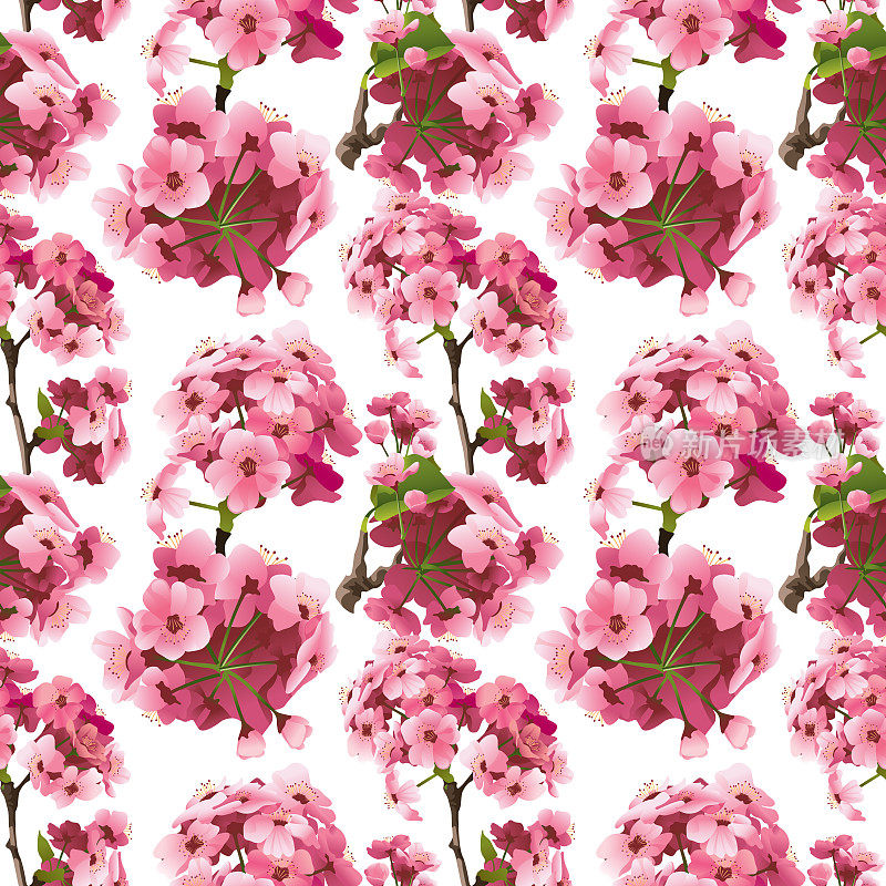 粉色樱花樱花无缝模式矢量插图
