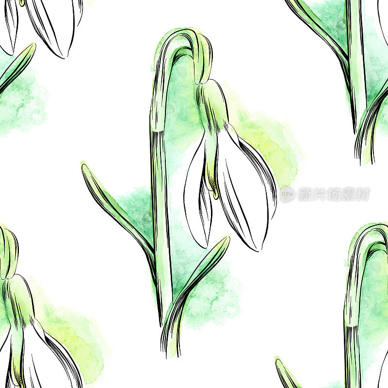 雪花莲花无缝模式-水彩和墨水矢量插图
