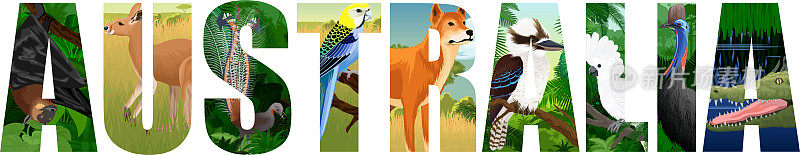 矢量集澳大利亚字与动物与莱利伯德，野狗，蝙蝠，鹦鹉，鳄鱼，笑翠鸟，袋鼠和食火鸡