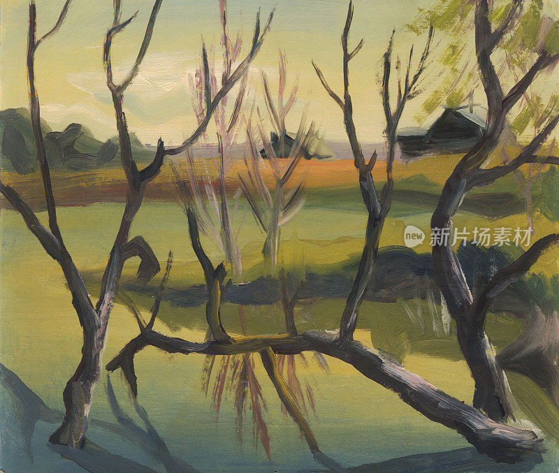 夏季乡村景观与树木在湖中。油画