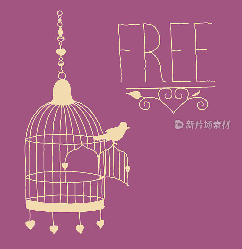 像鸟儿一样自由