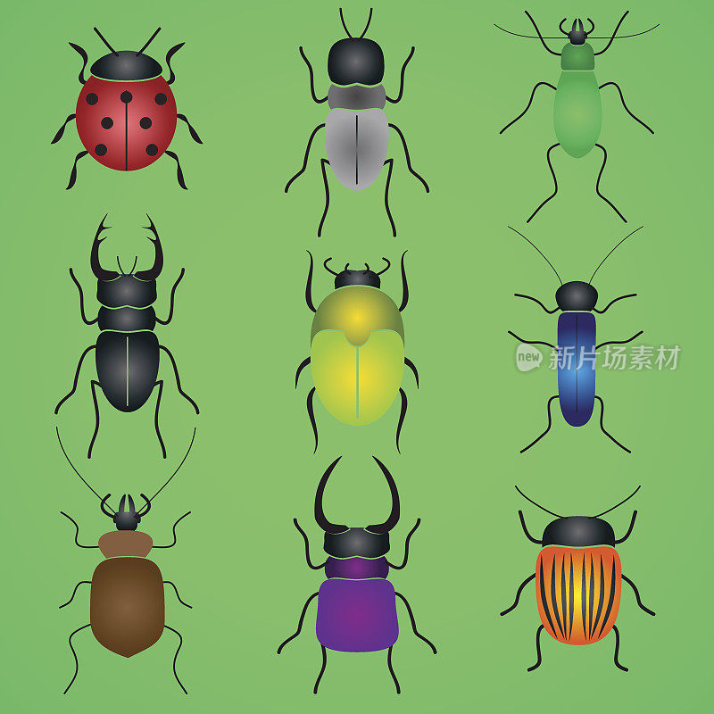 颜色虫子和甲虫图标设置eps10