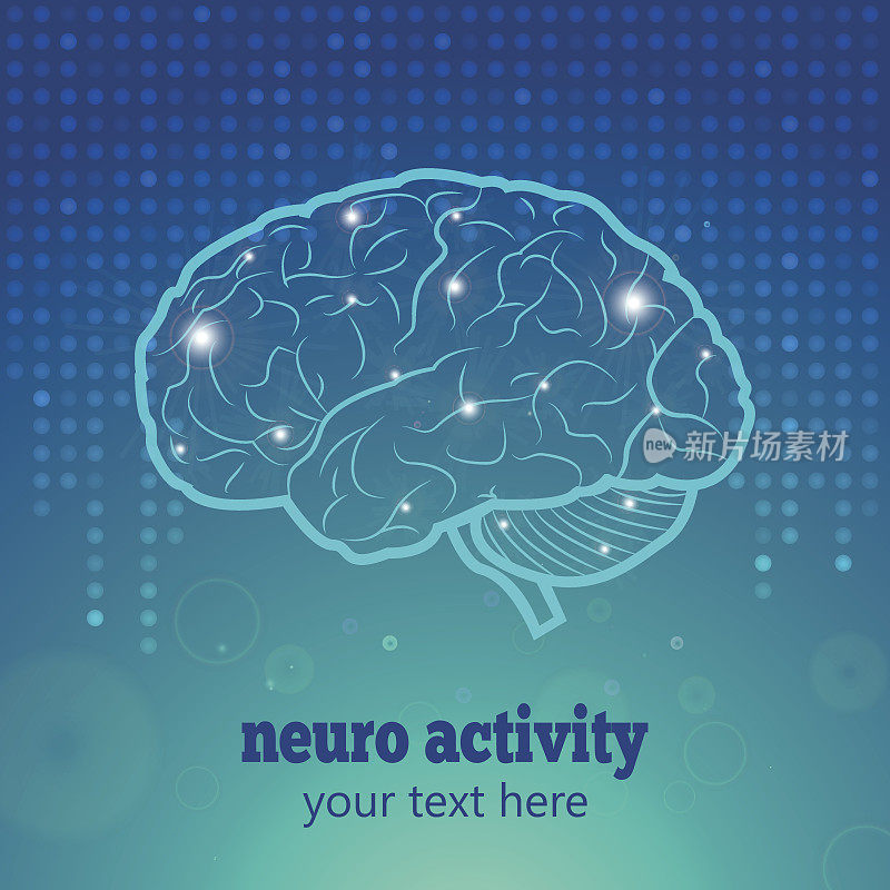 人类大脑神经活动