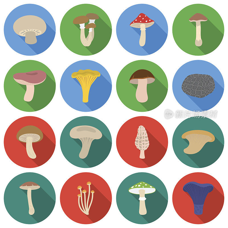 蘑菇设置图标在平面风格。大集合蘑菇载体