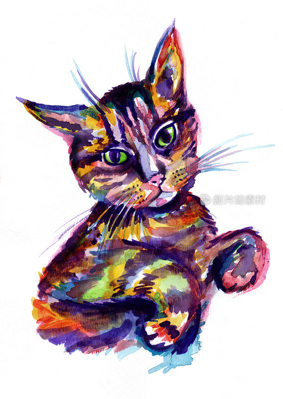 虎斑猫水彩画肖像