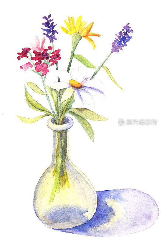 水彩花瓶中的花