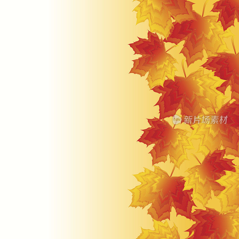 秋天的背景是红色和黄色的枫叶