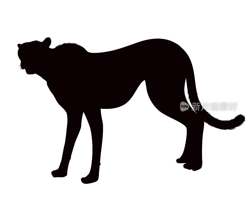 非洲猎豹动物剪影