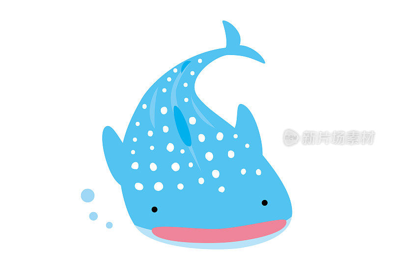 鲸鲨插图2