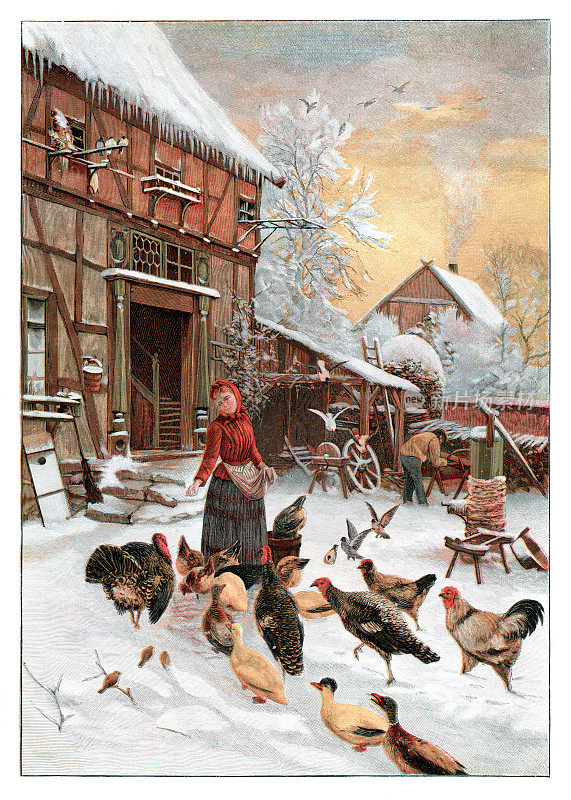 1896年，农村妇女在冬天喂鸡鸭