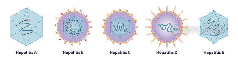 肝炎主要由五种病毒引起