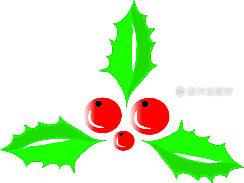 一束带绿叶的覆盆子——圣诞节的概念