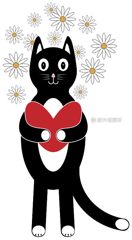 一只黑猫在雏菊的背景下用爪子抓着一颗心