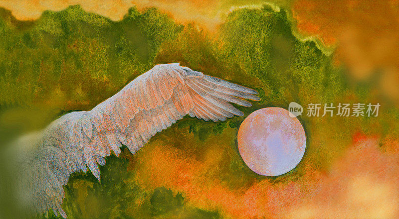插图艺术风景画水彩画满月自由飞翔的鸟