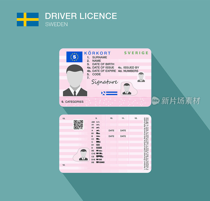 瑞典汽车驾驶执照证明。矢量插图。瑞典。