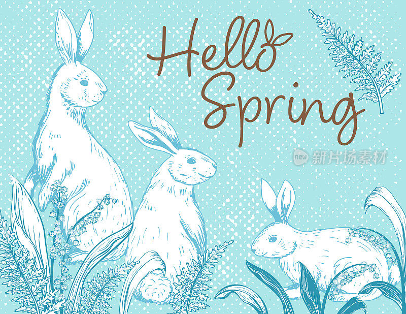 可爱的卡片手绘兔子和春天的花朵