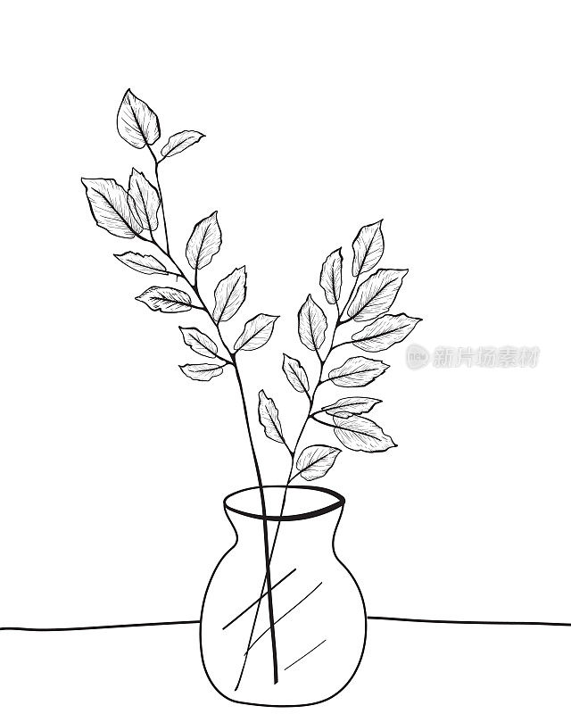 简单的线条艺术风格植物在花瓶上透明的背景