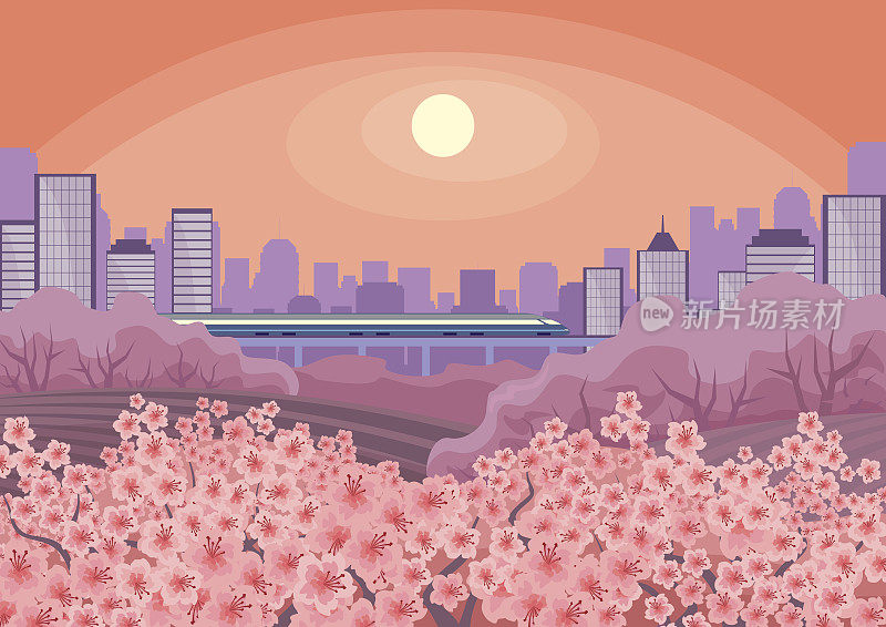 樱花盛开的城市