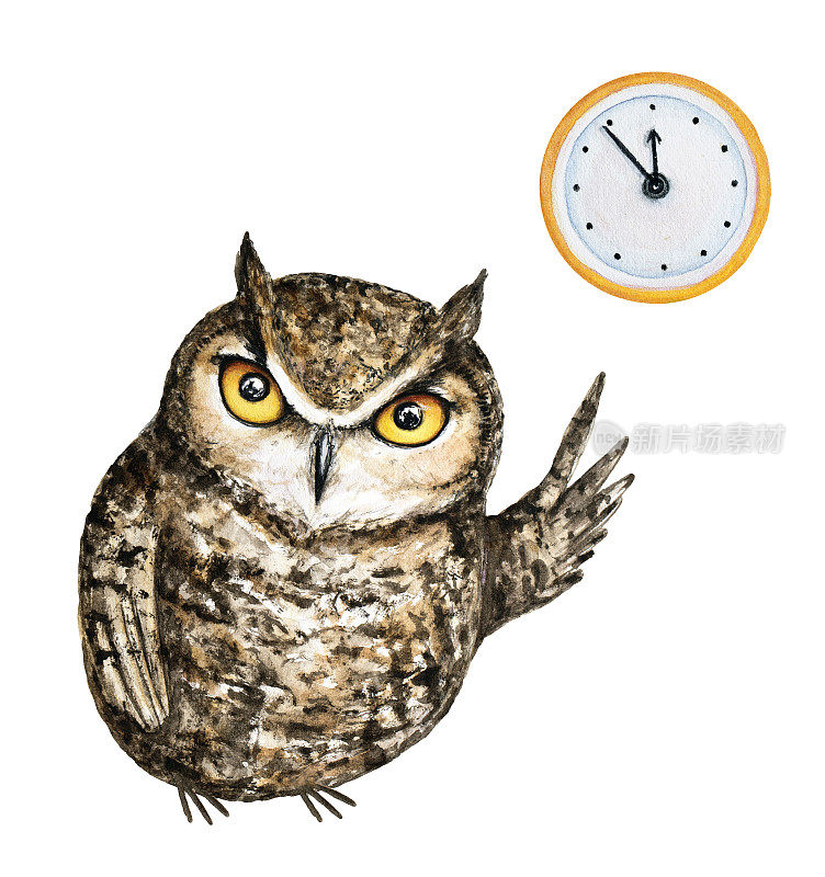 皱眉的棕色大角猫头鹰，橙色的眼睛和一个翅膀指向一个经典的圆形墙黄色时钟。离十二点差五分钟。