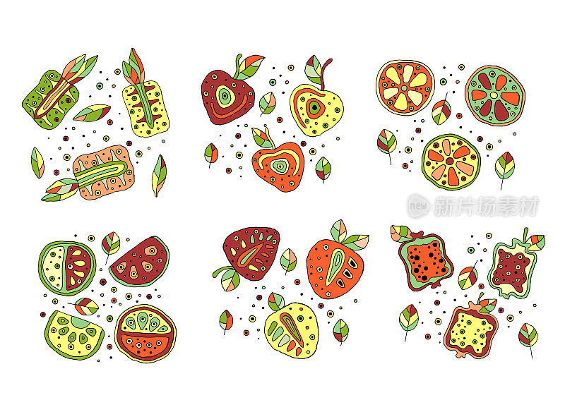 一组向量手绘幼稚的果实。可爱天真的菠萝，樱桃，浆果，草莓，石榴，西瓜，酸橙，柠檬，橙子带叶子，种子，滴。涂鸦、素描、卡通风格。