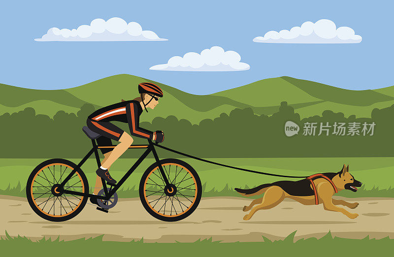 骑自行车的女人骑自行车和她的狗。户外锻炼