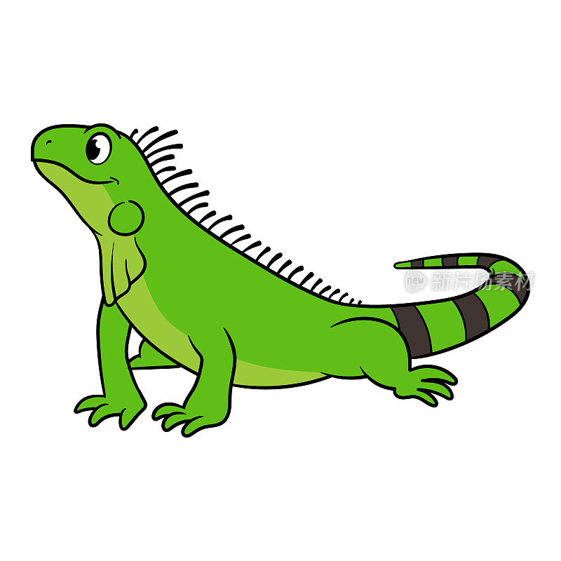 卡通绿色鬣蜥矢量插图