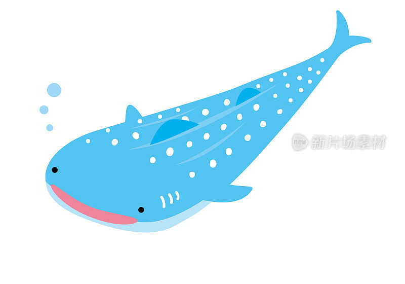 鲸鲨插图1
